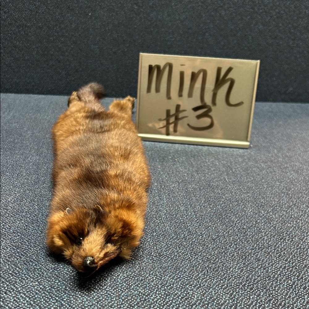 99 Mink Fur Pelt Choice 3